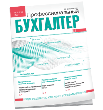 Профессиональный бухгалтер