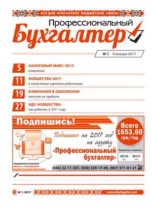 Профессиональный бухгалтер