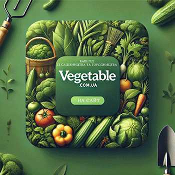 Vegetable - Садова Магія: Ваш Гід із садівництва та городництва