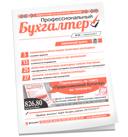 Профессиональный бухгалтер