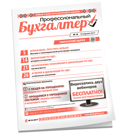 Профессиональный бухгалтер