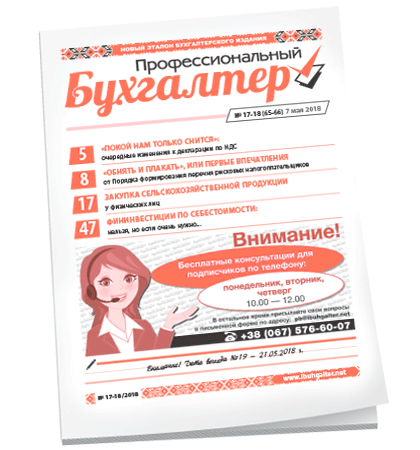 Профессиональный бухгалтер