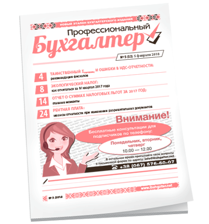 Профессиональный бухгалтер