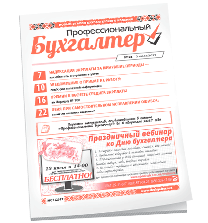 Профессиональный бухгалтер